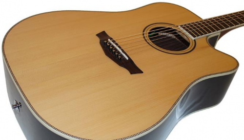 Электроакустическая гитара с чехлом PARKWOOD PW560 Nat w/case - JCS.UA фото 2