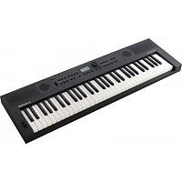 Синтезатор Roland GO:KEYS-5-GT - JCS.UA