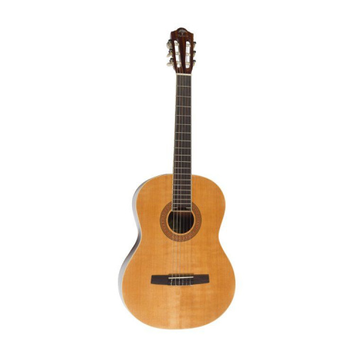 Классическая гитара Virginia V-C17 - JCS.UA
