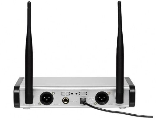 Радіосистема DV audio PGX-224 - JCS.UA фото 2