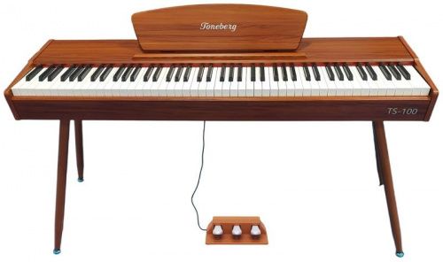Цифровое пианино Toneberg TS-100 WD - JCS.UA фото 4