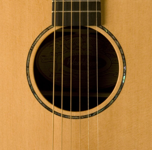 Акустическая гитара Washburn WD250 SW - JCS.UA фото 3