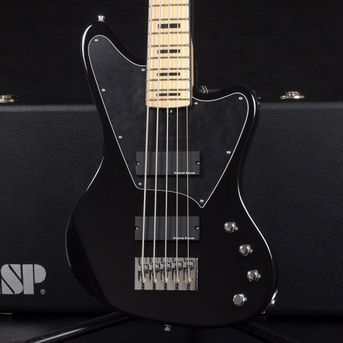Бас-гітара ESP E-II GB-5 (Black) - JCS.UA фото 4
