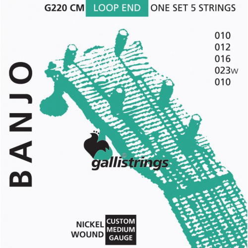 Струны для банджо Gallistrings G220 CM - JCS.UA