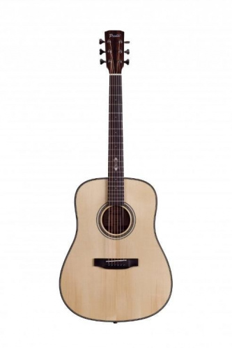 Акустична гітара Prima MAG212 - JCS.UA