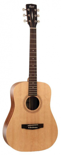 Акустическая гитара CORT EARTH 50 (Open Pore) - JCS.UA