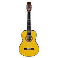 Класична гітара Aria A-30S N - JCS.UA
