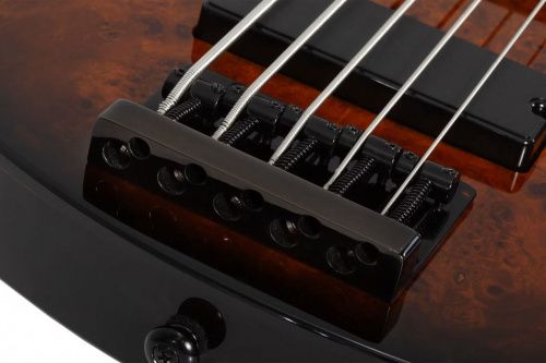 Бас-гитара Schecter C-5 Standard Tobacco Burl - JCS.UA фото 7 Бас-гитара Schecter C-5 Standard Tobacco Burl - JCS.UA фото 7