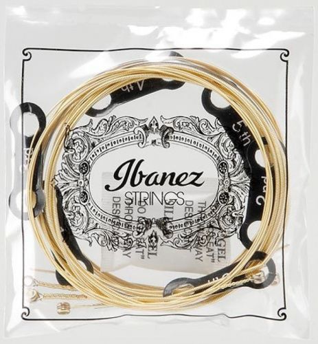 Струни для акустичних гітар IBANEZ IACS6C ACOUSTIC GUITAR STRING 12-53 - JCS.UA фото 3