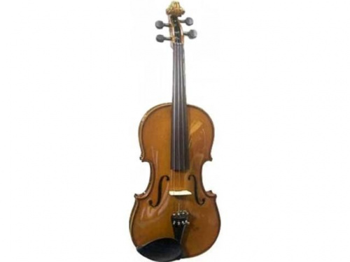 Скрипка VALENCIA V600 4/4 - JCS.UA