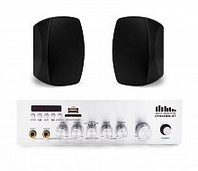 Акустический комплект SKY SOUND WMS-4022 BLACK - JCS.UA