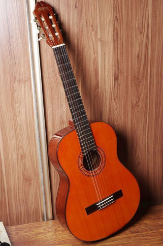 Классическая гитара Washburn C5 - JCS.UA фото 4