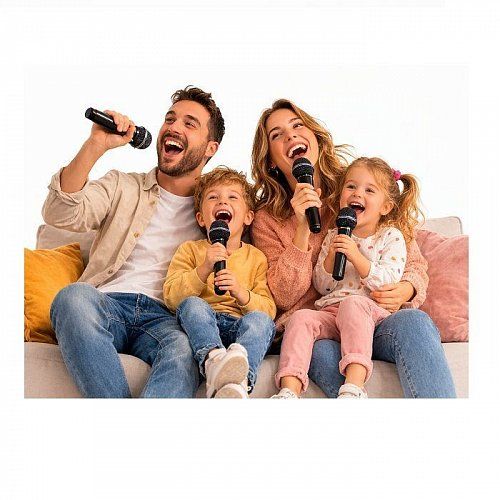 Що потрібно для караоке вдома: мінімальний комплект, підключення та налаштування