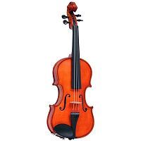 Скрипка GLIGA Violin1/10Genial II - JCS.UA