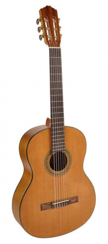 Классическая гитара Salvador Cortez CC-06 - JCS.UA