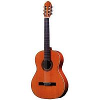Классическая гитара Antonio Sanchez S-1008 Cedar - JCS.UA
