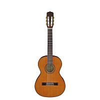Классическая гитара Aria A-20-58 N - JCS.UA