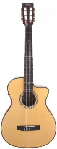 Класична гітара VALENCIA VA434CE - JCS.UA фото 2