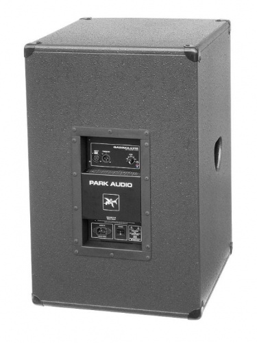 Акустична система Park Audio GAMMA4315-P - JCS.UA фото 2