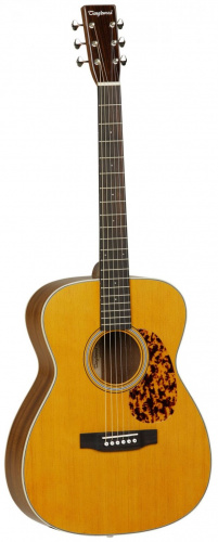 Электроакустическая гитара Tanglewood TW40 O AN E - JCS.UA