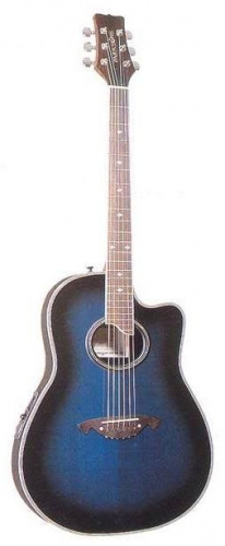Электроакустическая гитара PARKSONS EA205 (BKS) - JCS.UA