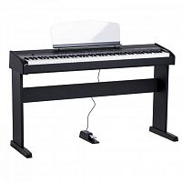 Цифрове піаніно Orla Stage Studio DLS (Black) - JCS.UA