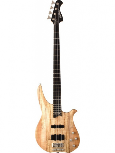 Бас-гитара Washburn CB14 SPK - JCS.UA