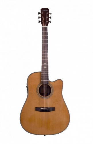 Электроакустическая гитара Prima DSAG219CEQ4 E-Acoustic Guitar - JCS.UA
