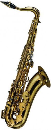 Саксофон Selmer REFERENCE 54 Dragon Bird - JCS.UA