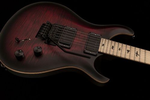 Электрогитара PRS DW CE 24 FLOYD (Waring Burst) - JCS.UA фото 6