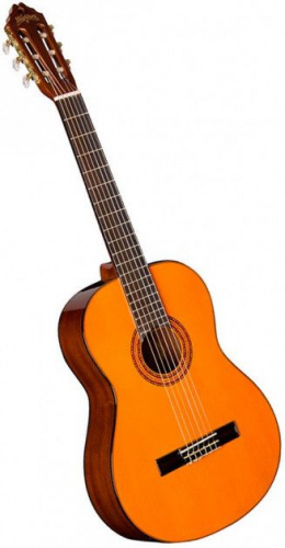 Классическая гитара Washburn C5 - JCS.UA фото 2
