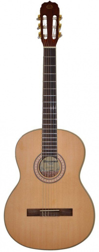 Класична гітара Maxwood MC 6503 - JCS.UA