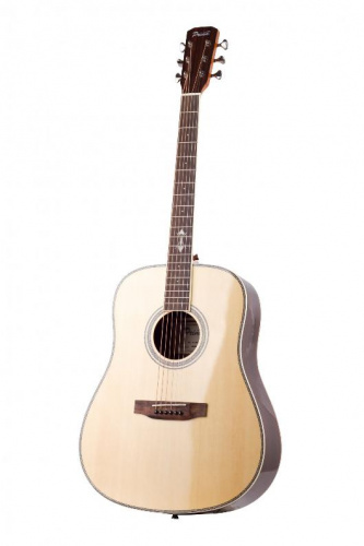 Акустична гітара Prima DSAG205 - JCS.UA фото 3
