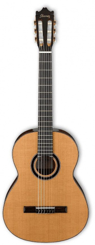 Классическая гитара IBANEZ GA15 NT - JCS.UA