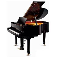Акустичний рояль Pearl River GP148 Ebony + B - JCS.UA