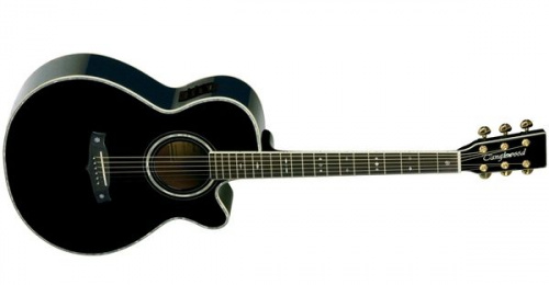 Электроакустическая гитара Tanglewood TW49 BK DLX E - JCS.UA фото 2