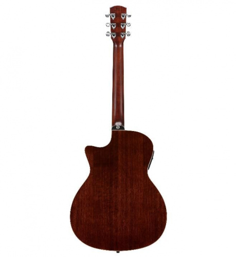Электроакустическая гитара Alvarez AGW77CEARSHB - JCS.UA фото 4
