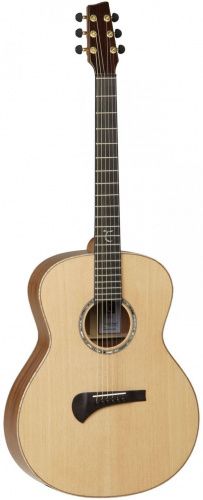 Акустична гітара Tanglewood TSM1 - JCS.UA